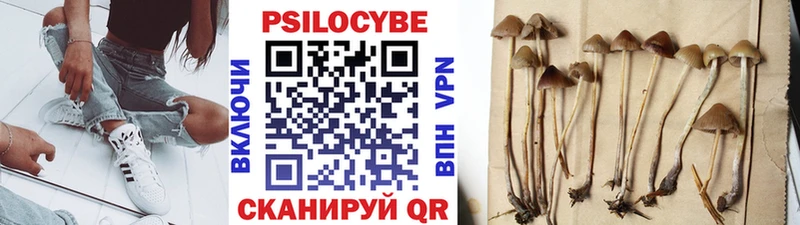 OMG онион  что такое   Еманжелинск  Псилоцибиновые грибы Psilocybe 
