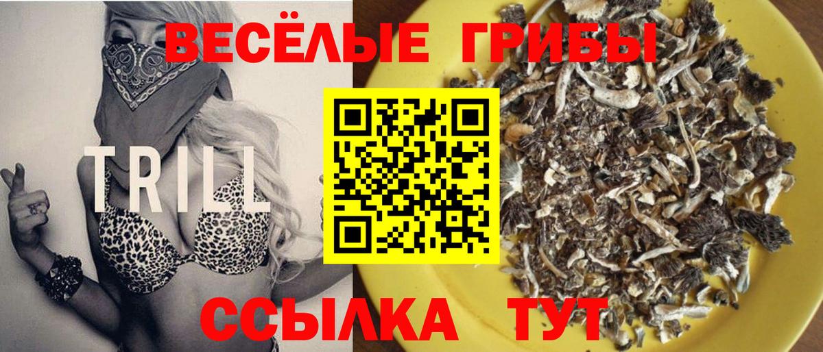 Галлюциногенные грибы мухоморы Еманжелинск
