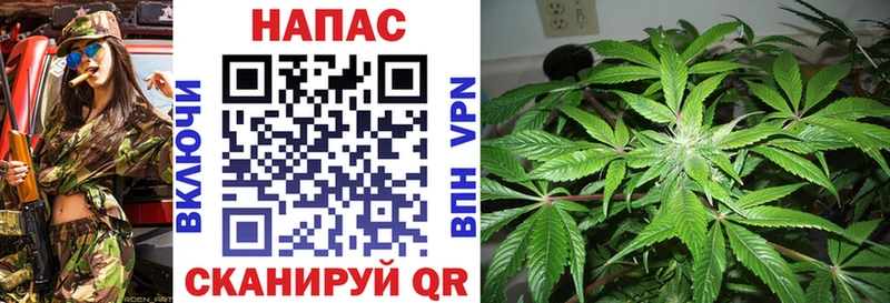 где продают   Еманжелинск  Бошки марихуана тримм 